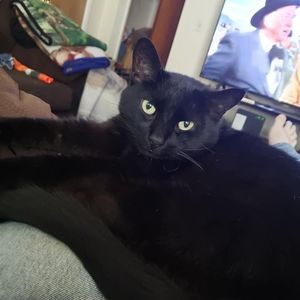 Meet your Posher, Tj